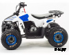 Квадроцикл MZ Eagle 110